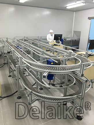 Double Layer Fleible Conveyors