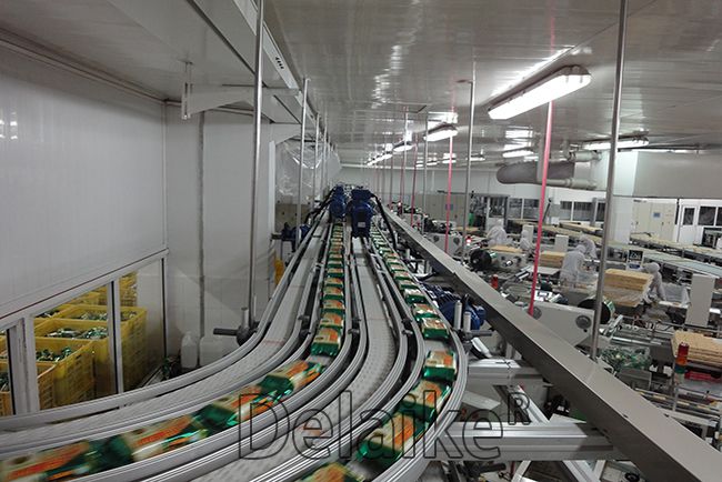 High-altitude Flexible Conveyors